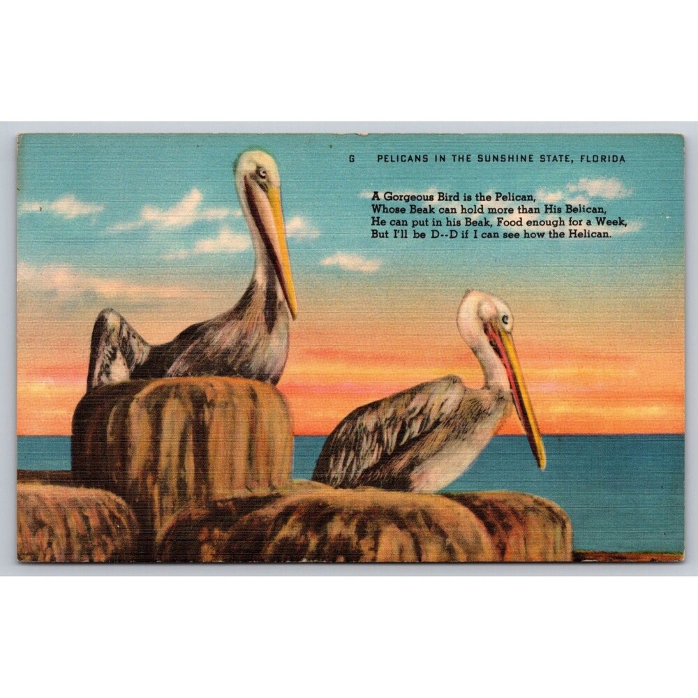Vintage Florida Pelicans Linen Postcard Hartman Card Co. Poem Unposted E-6803